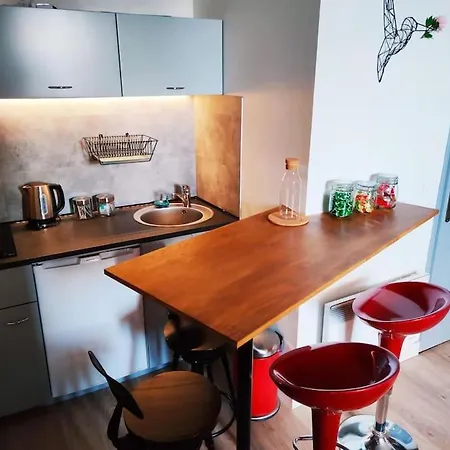 Duplex Cosy Place Republique Daire