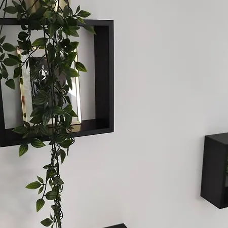 Duplex Cosy Place Republique Daire *