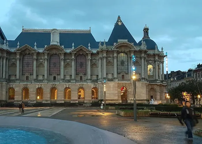 Duplex Cosy Place Republique Daire Lille