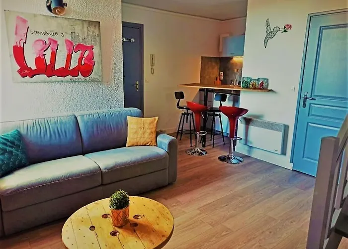 Duplex Cosy Place Republique * Lille