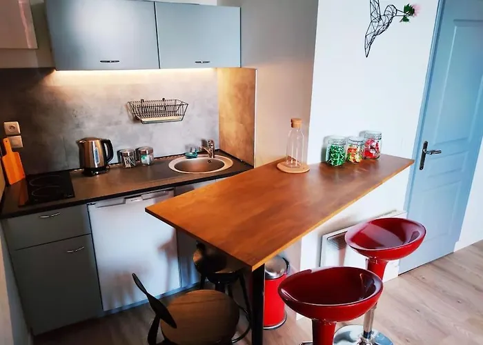 Duplex Cosy Place Republique Daire